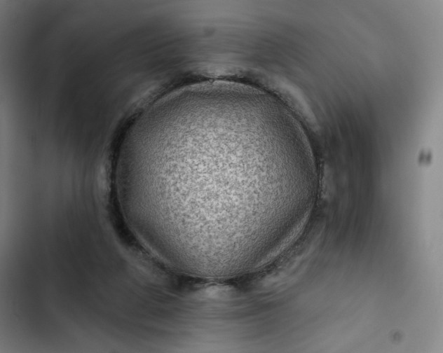 X0000102460210200808221627