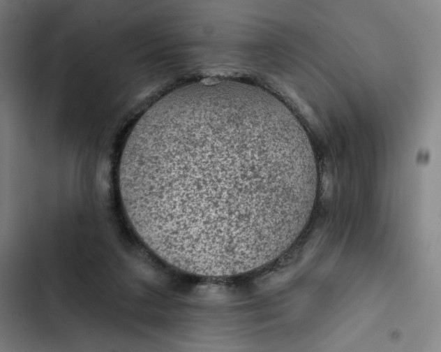 X0000102460211200808221627