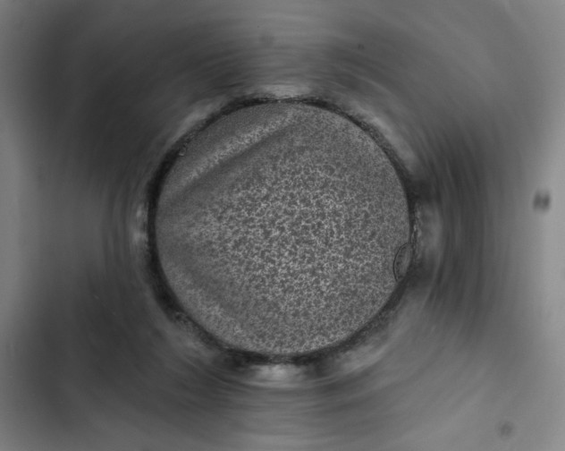 X0000102460212200808221627