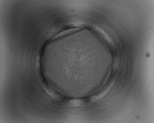 X0000102460213200808221627