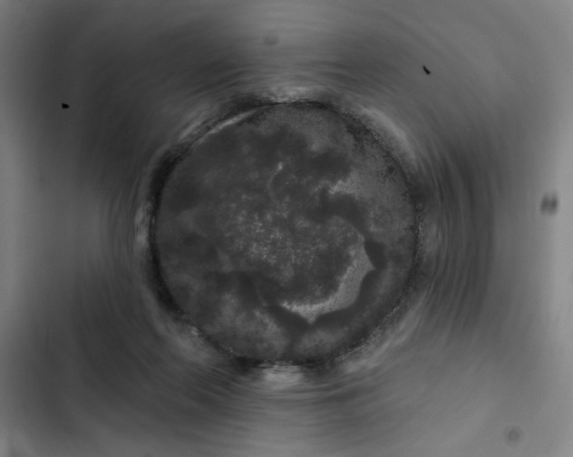 X0000102460214200808221627