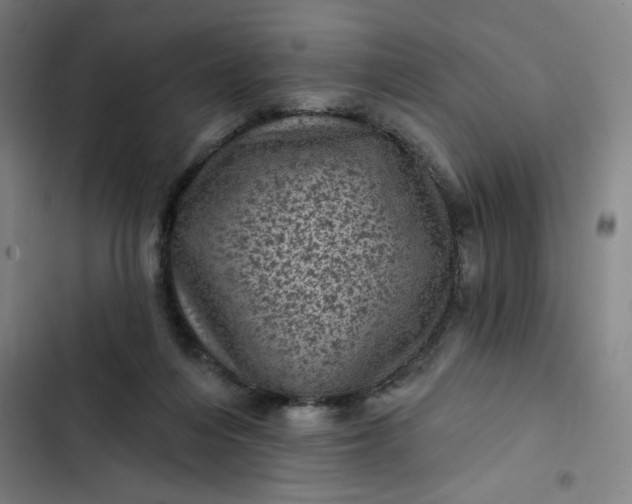 X0000102460216200808221627