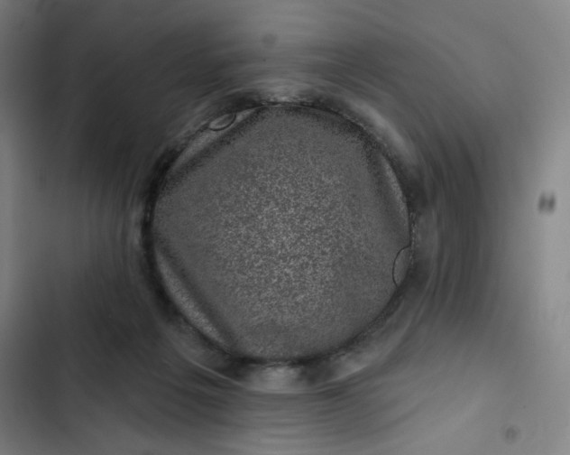 X0000102460217200808221627