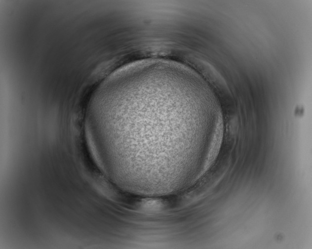 X0000102460218200808221627