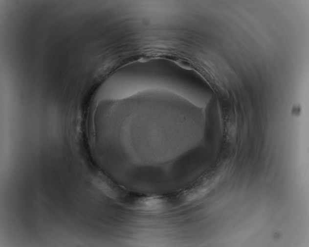 X0000102460219200808221627