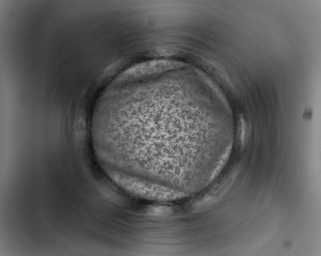 X0000102460220200808221627