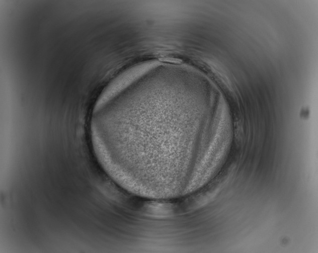 X0000102460221200808221627