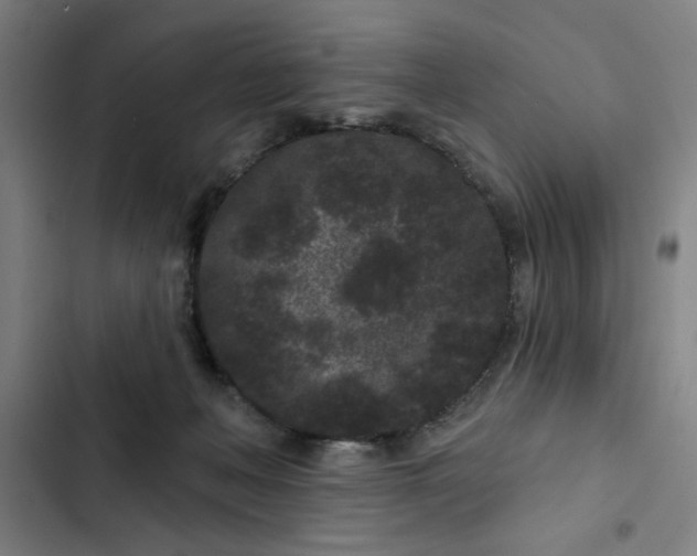 X0000102460222200808221627