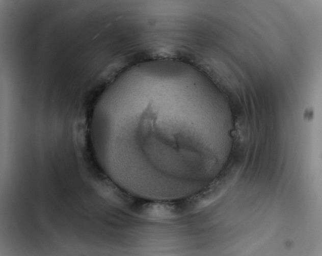 X0000102460223200808221627