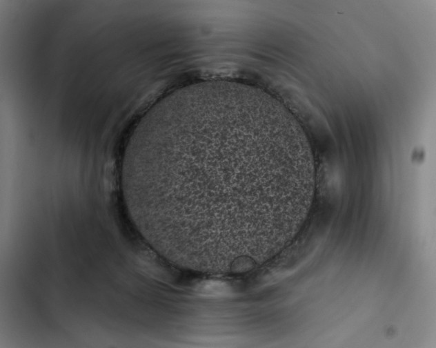 X0000102460224200808221627