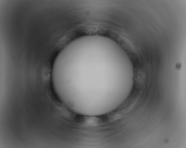 X0000102460226200808221627