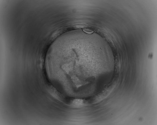 X0000102460227200808221627