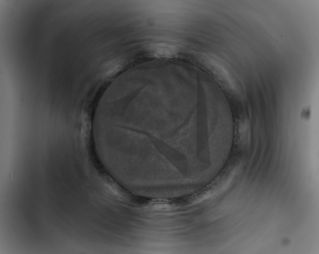 X0000102460228200808221627