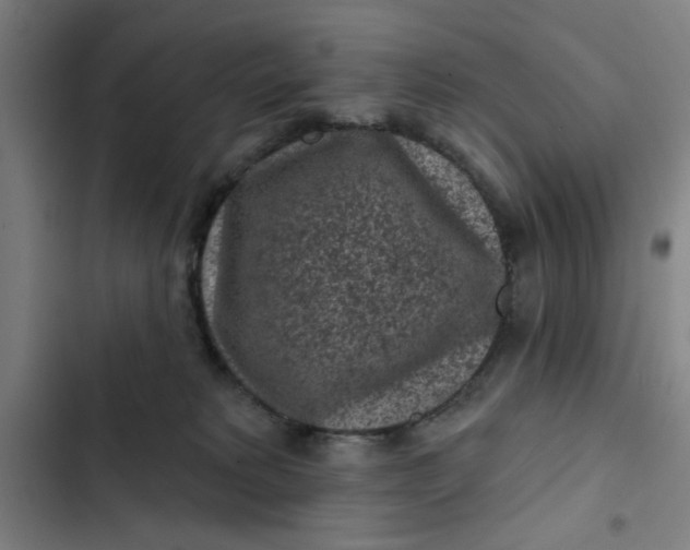 X0000102460229200808221627