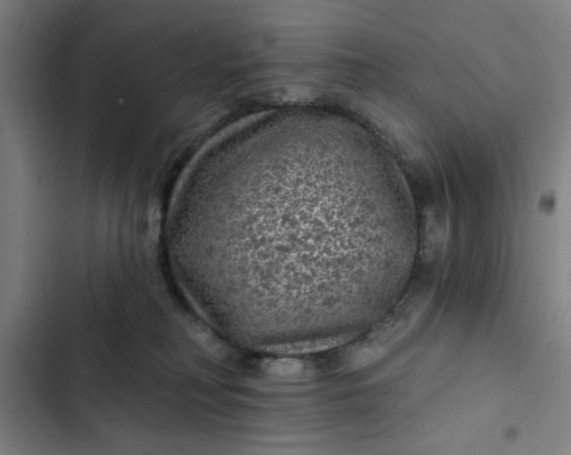 X0000102460230200808221627