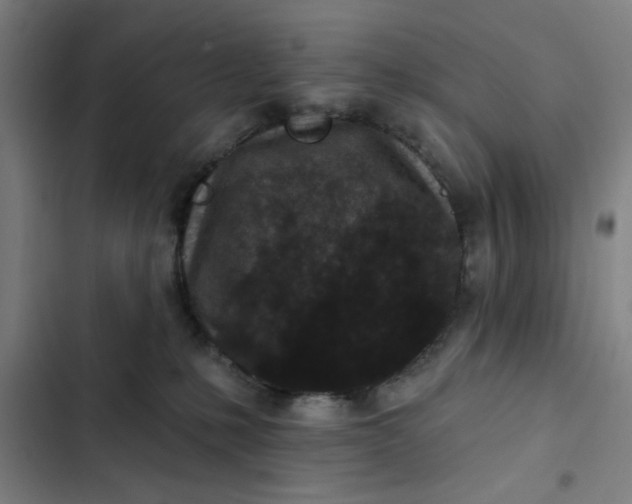 X0000102460231200808221627