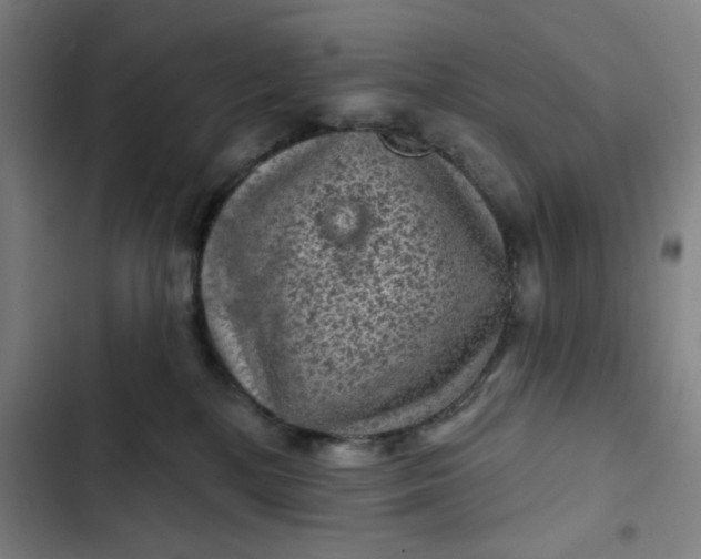 X0000102460232200808221627