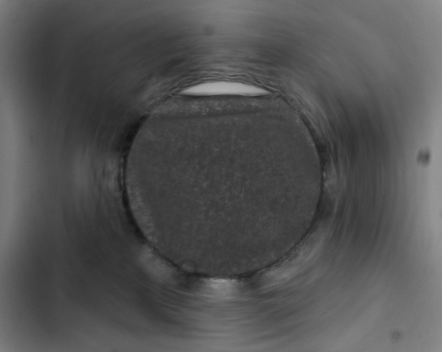 X0000102460233200808221627