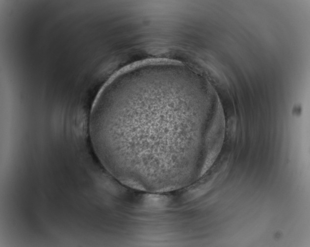 X0000102460234200808221627