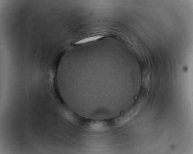 X0000102460235200808221627