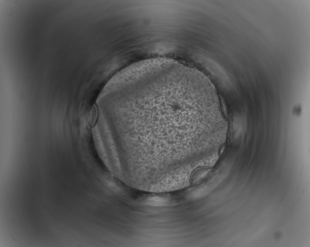 X0000102460236200808221627