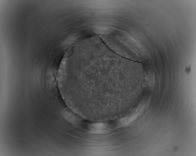 X0000102460237200808221627