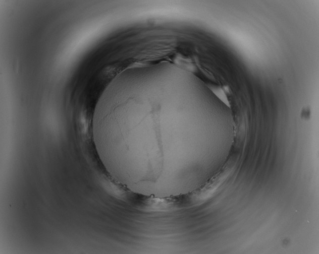 X0000102460239200808221627