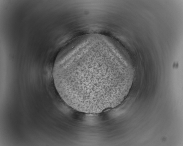 X0000102460240200808221627