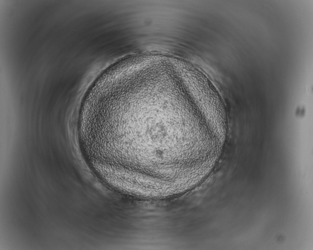 X0000102460241200808221626