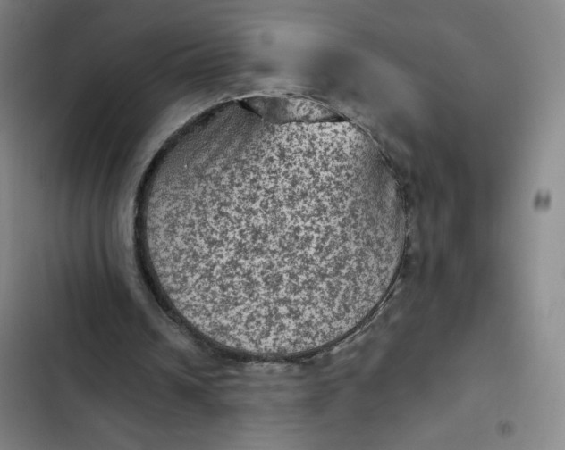 X0000102460242200808221626