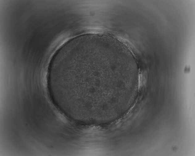 X0000102460243200808221626