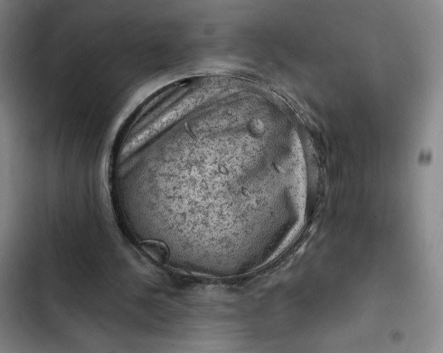 X0000102460244200808221626