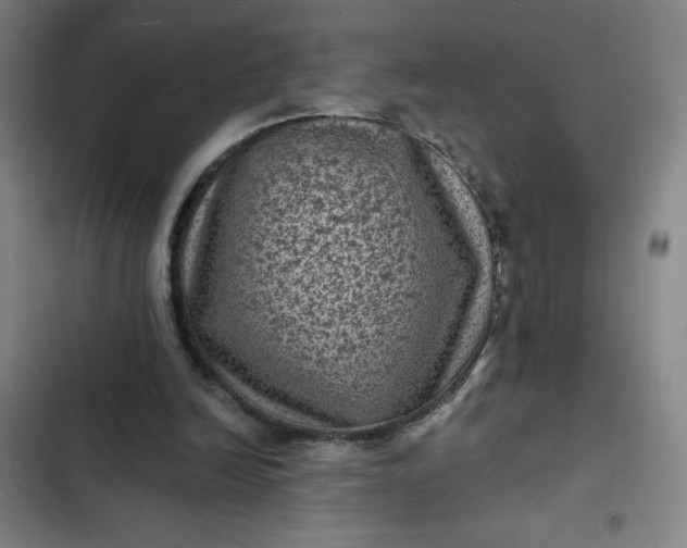 X0000102460246200808221626