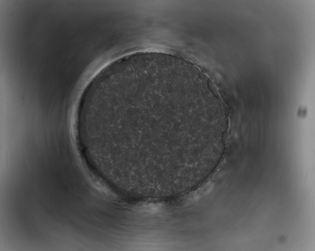 X0000102460247200808221626