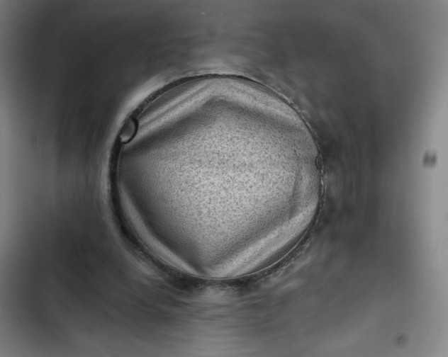 X0000102460248200808221626