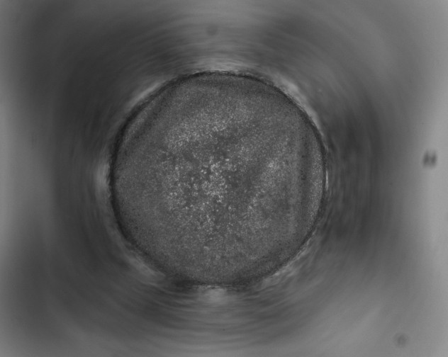 X0000102460249200808221626