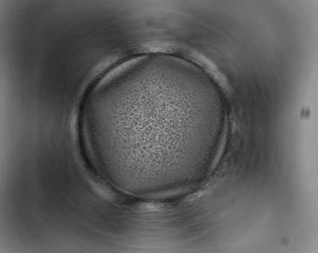 X0000102460250200808221626