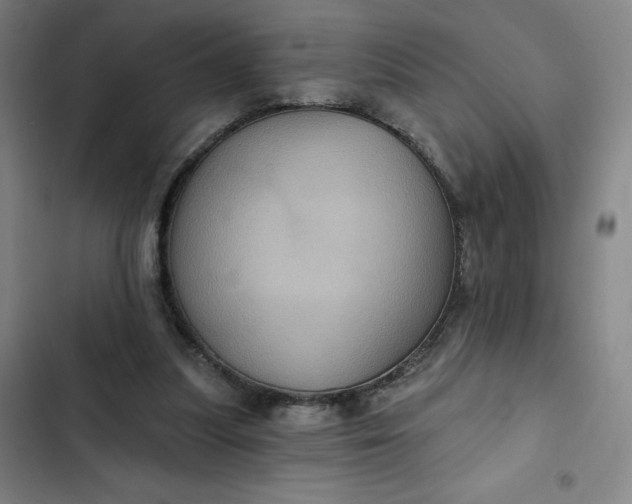 X0000102460251200808221626