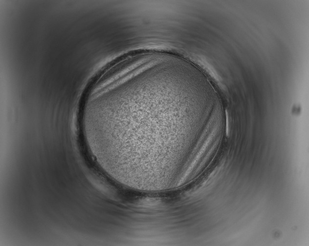 X0000102460252200808221626