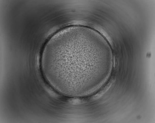 X0000102460253200808221626