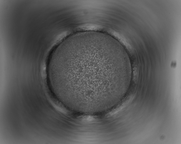 X0000102460254200808221626