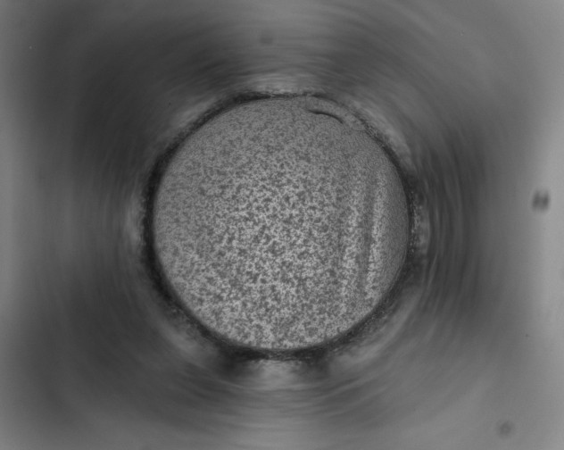 X0000102460255200808221626