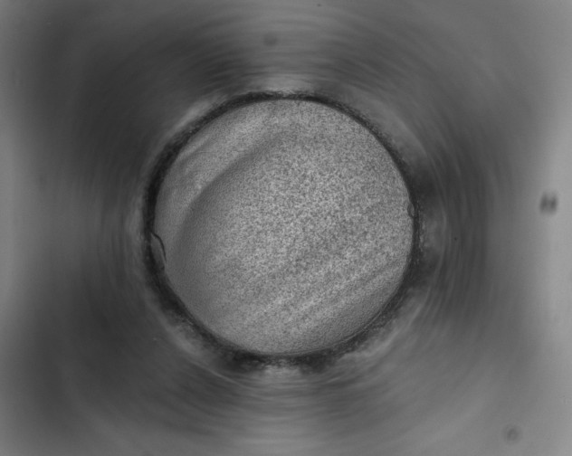 X0000102460256200808221626