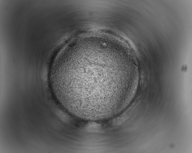 X0000102460257200808221626