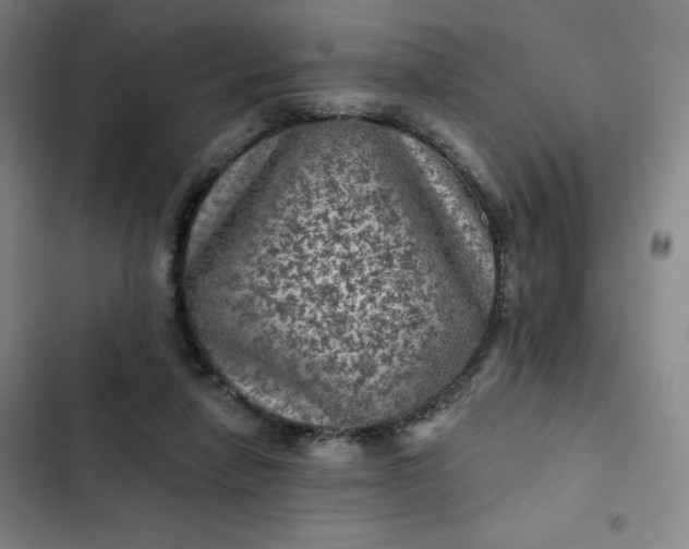 X0000102460258200808221626