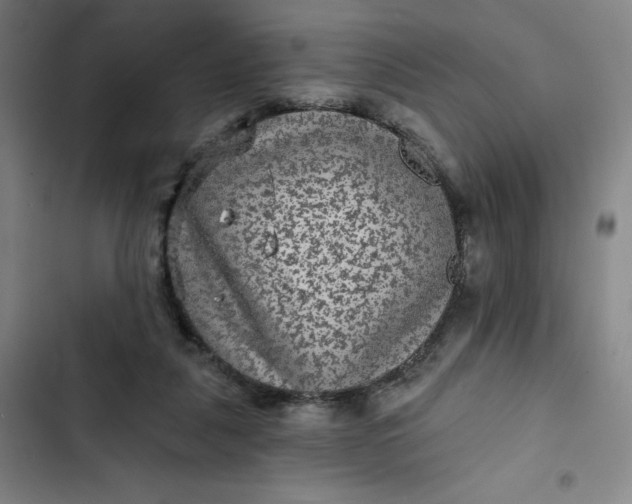 X0000102460259200808221626