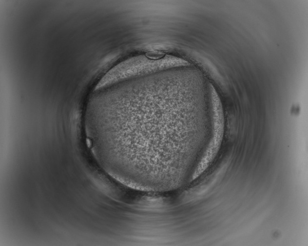 X0000102460260200808221626