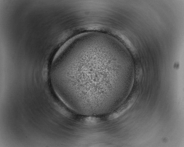 X0000102460261200808221626