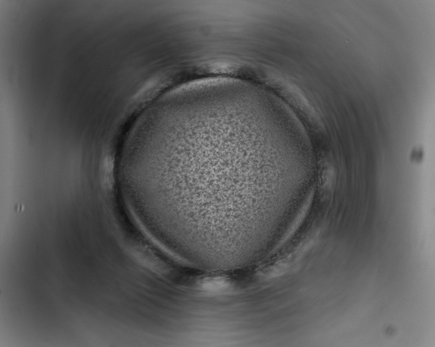 X0000102460262200808221626