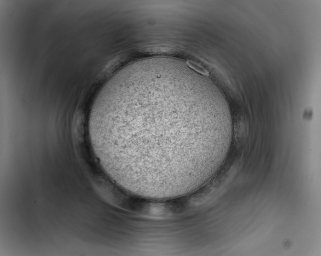 X0000102460264200808221626